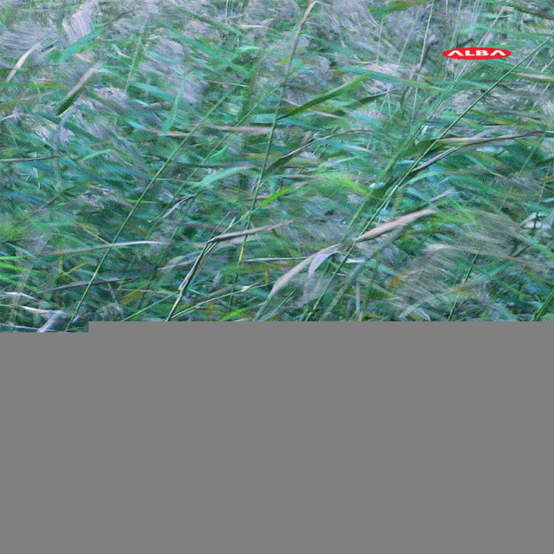 Sinfonietta/Slobodeniouk - Kymiscenes - ABCD235