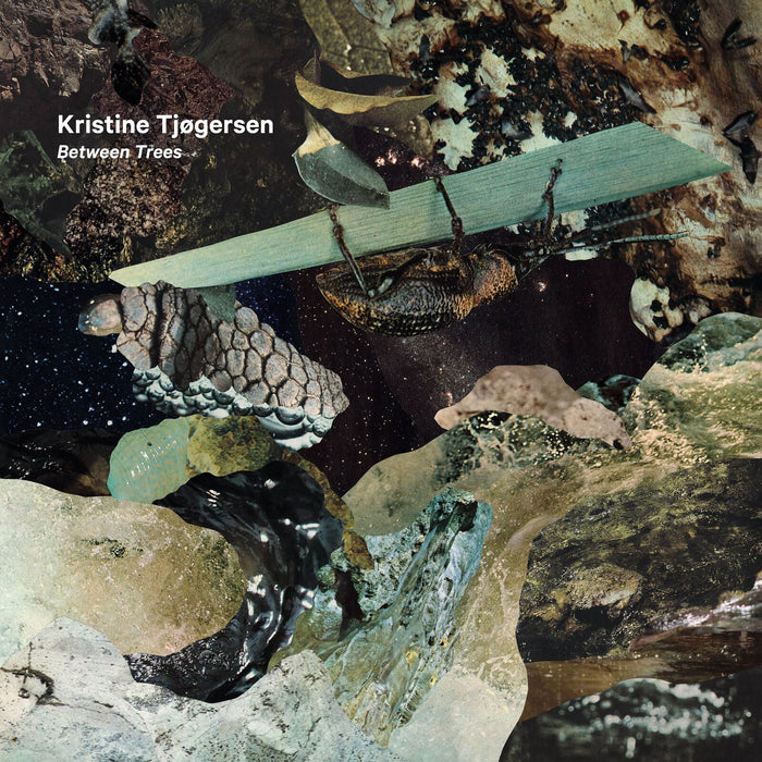 Kristine Tjogersen - Between Trees - ACDLP5115