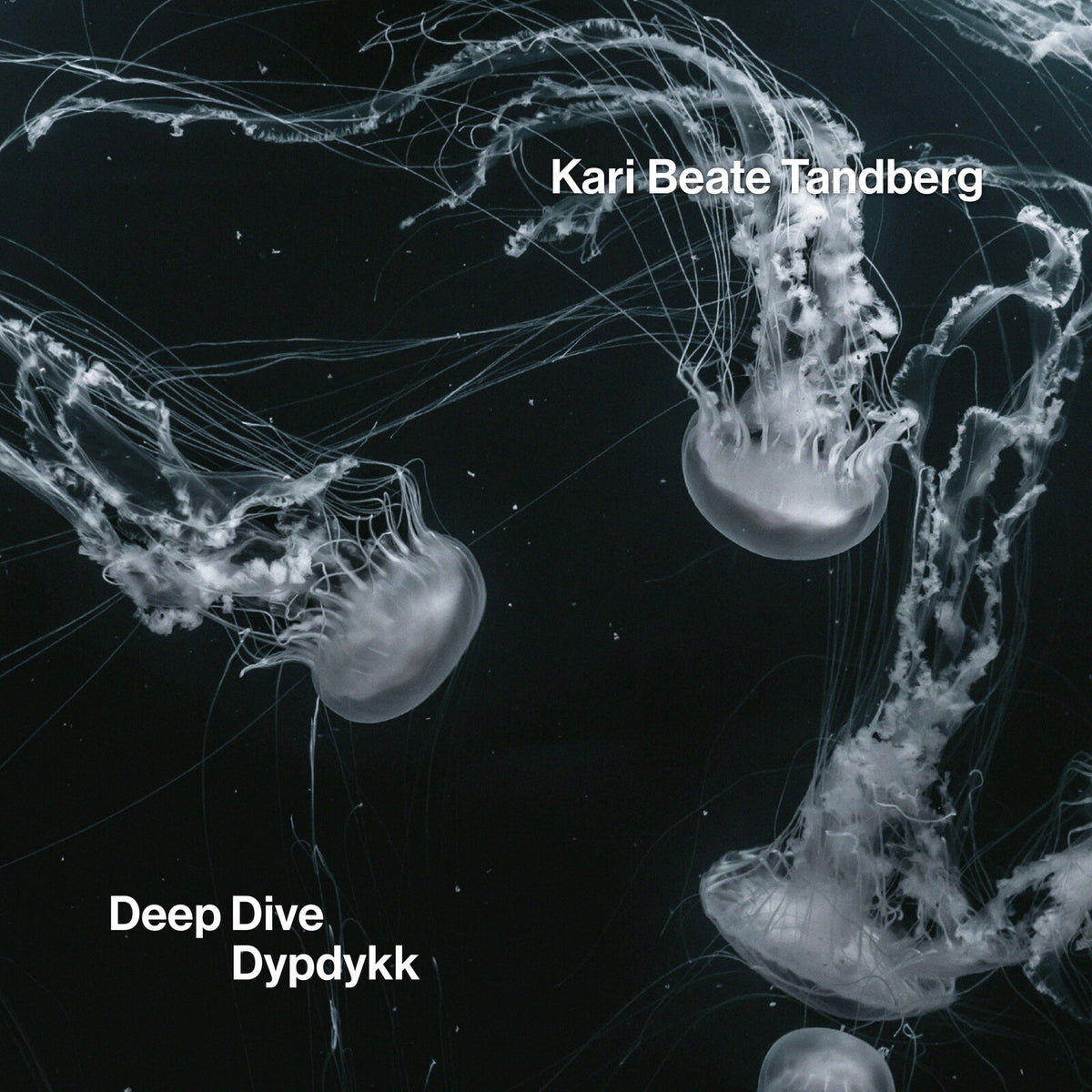 Kari Beate Tandberg - Deep Dive - ACD5120