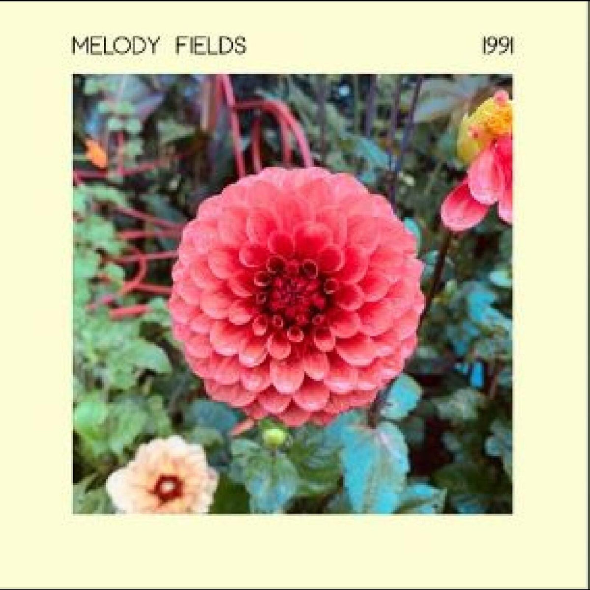 Melody Fields - 6/13/1905 12:00:00 AM - LPCOOPR22