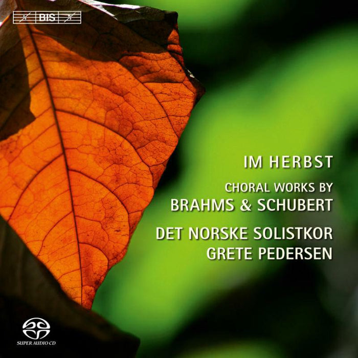 Det Norske Solistkor:Pedersen - Im Herbst: Choral Works By Brahms/ Schubert - BISSACD1869