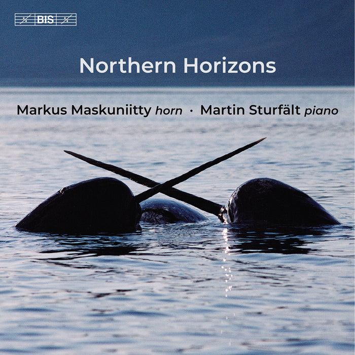 Markus Maskuniitty; Martin Sturfalt - Northern Horizons - BIS2712