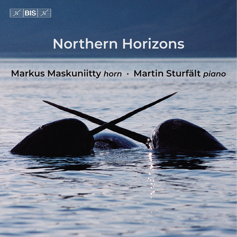 Markus Maskuniitty; Martin Sturfalt - Northern Horizons - BIS2712