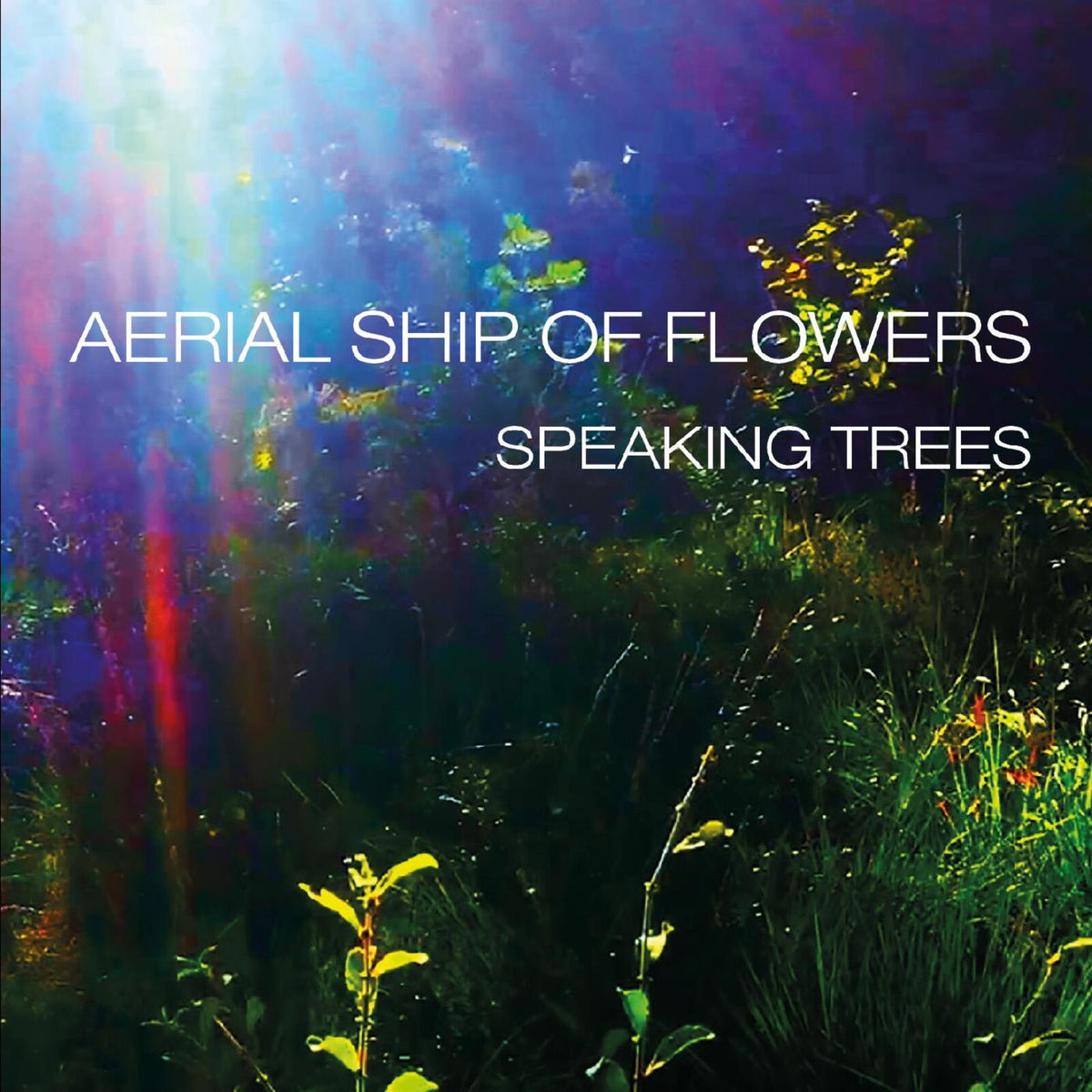 Aerial Ship of Flowers - Speaking Trees - CDXENOPH48