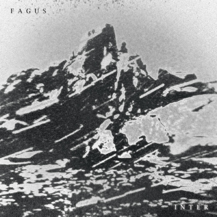 Fagus - Inter - CDSILENTF005