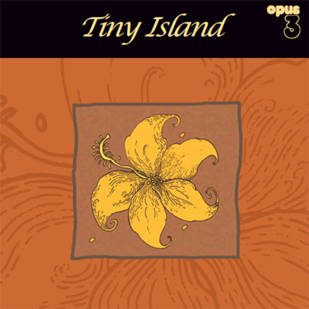 Tiny Island - Tiny Island - LP19824