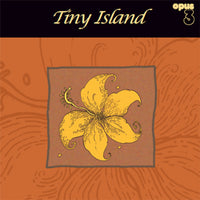 Tiny Island - Tiny Island - LP19824