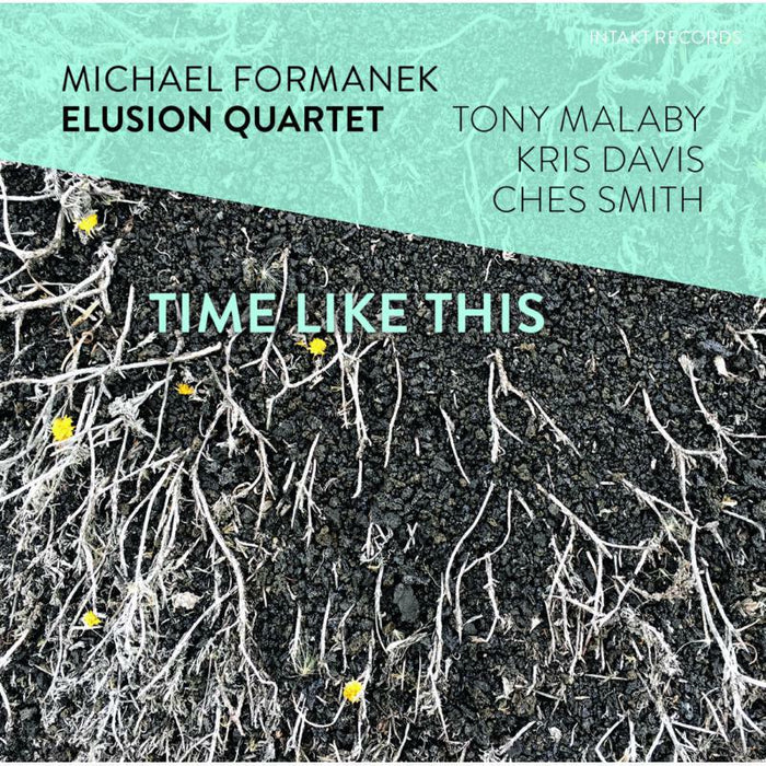 Michael Formanek Elusion Quartet - Time Like This - INTAKT313