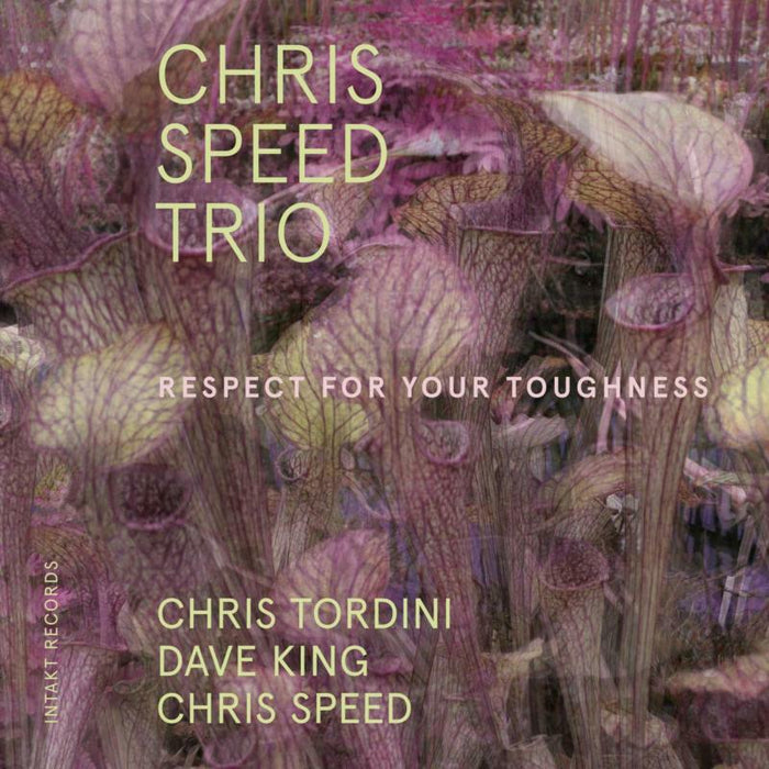 Chris Speed Trio - Respect For Your Toughness - INTAKT336