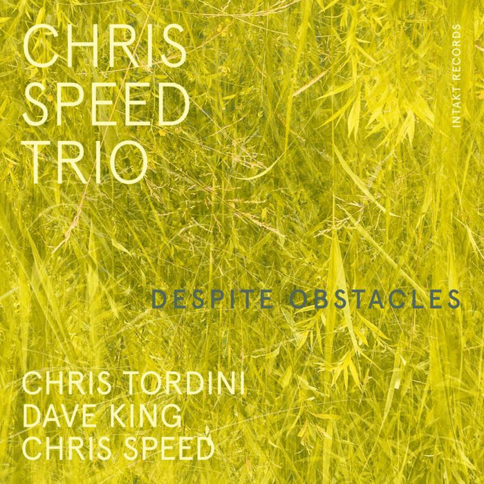 Chris Speed Trio - Despite Obstacles - INTAKT404