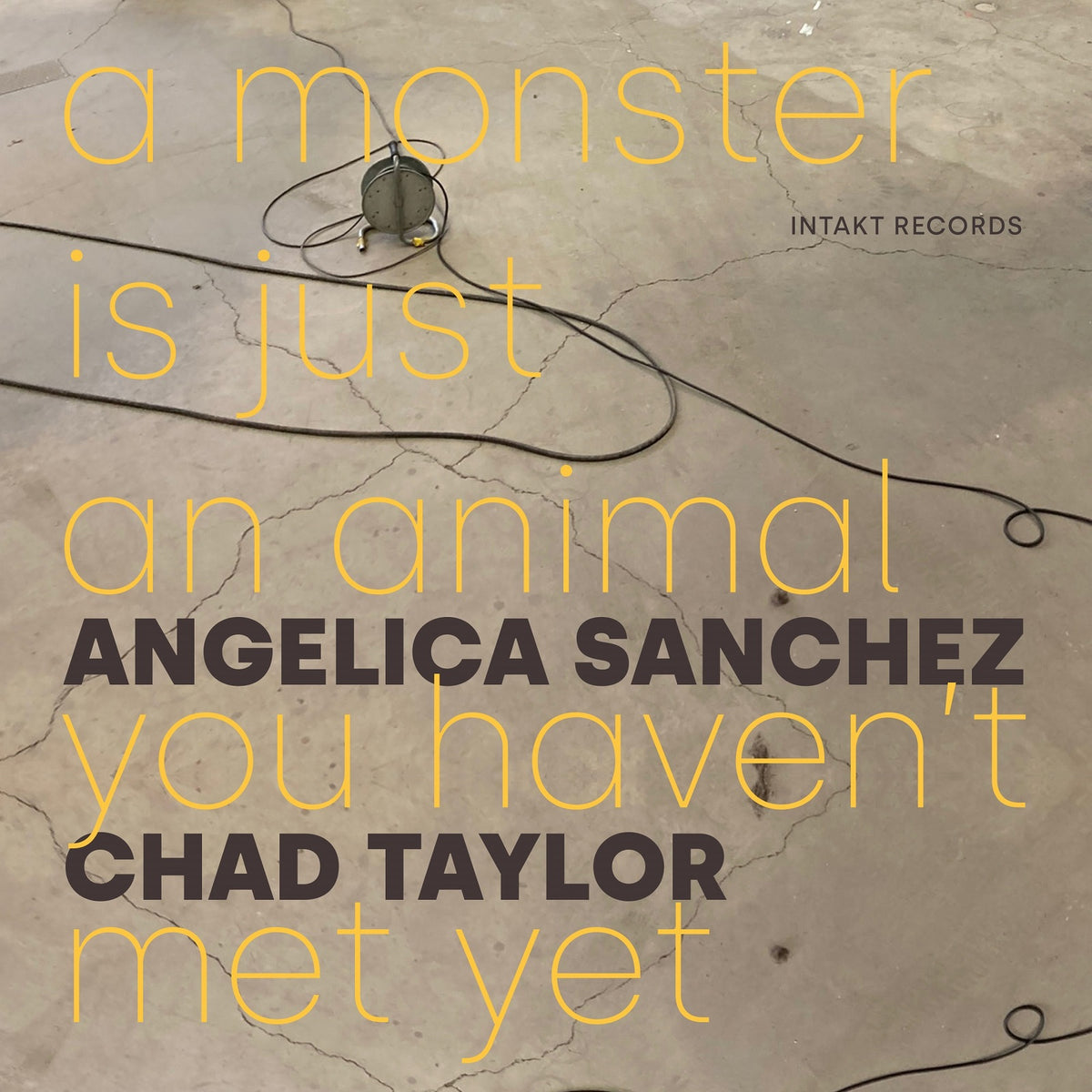 Angelica Sanchez - Chad Taylor - A Monster Is Just An Animal You Haven't Met Yet - INTAKT413