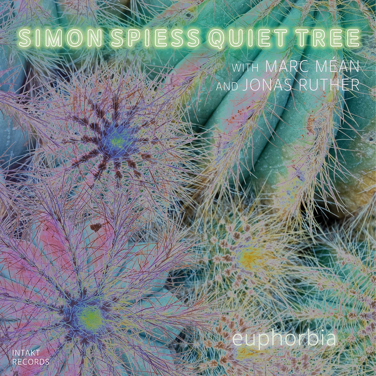 Simon Spiess Quiet Tree - Euphorbia - INTAKT414