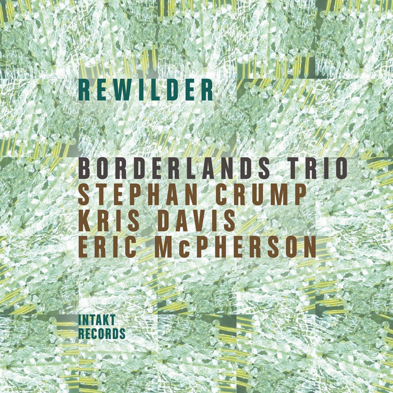 Borderlands Trio - Rewilder - INTAKT416