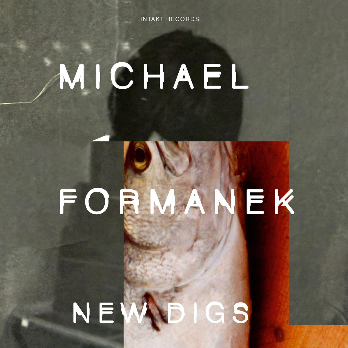 Michael Formanek - New Digs - INTAKT451