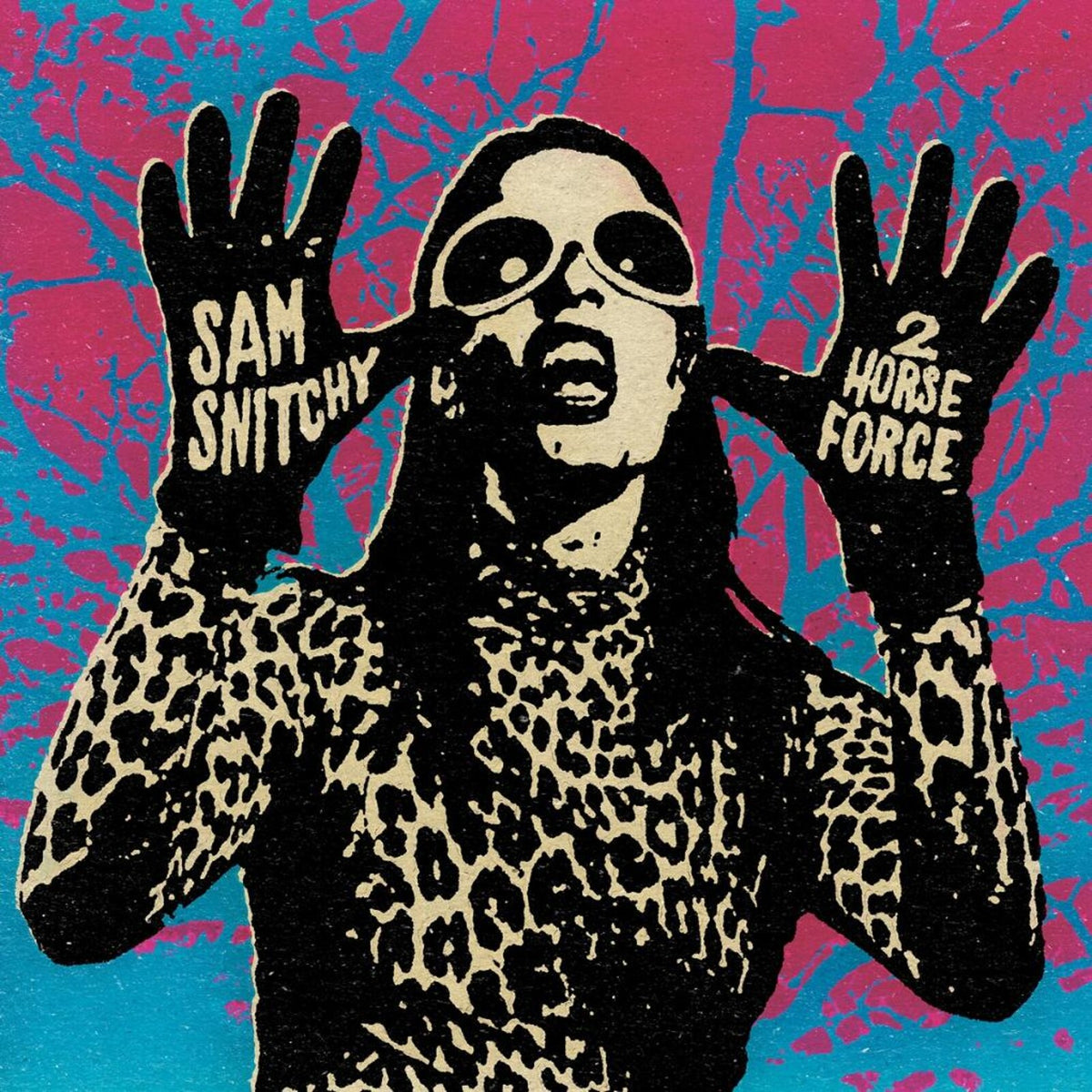 Sam Snitchy - 2 Horse Force - VRLP12143