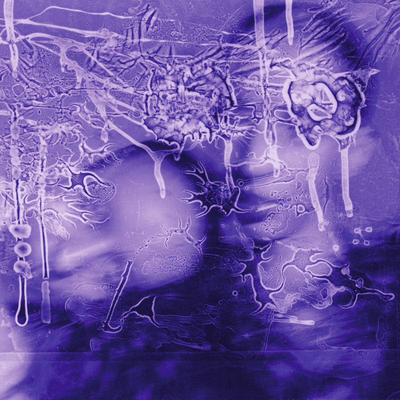 Sirens Of Lesbos - i got a song, it's gonna make us millions - PE043