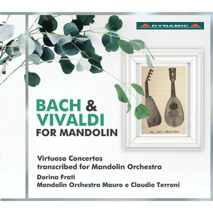 Various - Bach & Vivaldi for Mandolin: Virtuoso Concertos transcribed for Mandolin Orchestra - CDS7787