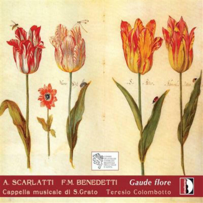Cappella Musicale Di S.Grato - Scarlatti: Gaude flore - STR33721