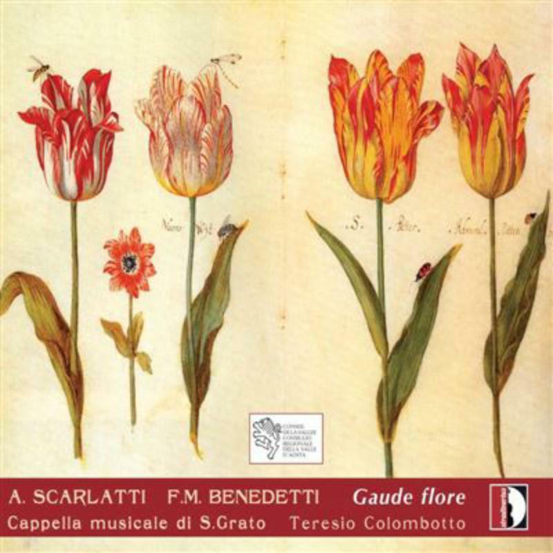 Cappella Musicale Di S.Grato - Scarlatti: Gaude flore - STR33721