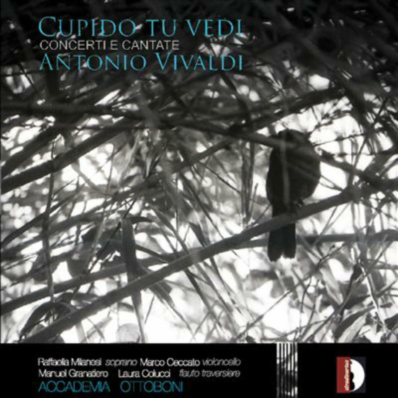 Accademia Ottoboni - VivaldI: Cupido tu vedi - STR33856