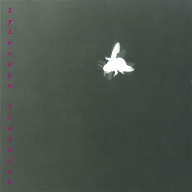 Maurer/Braig - Ronchetti: Solo per viola & live electronics - STR33869