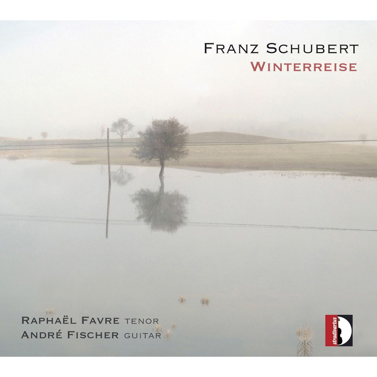 Angelica Selmo - Franz Schubert: Winterreise (Version for Tenor & Guiar) - STR33981