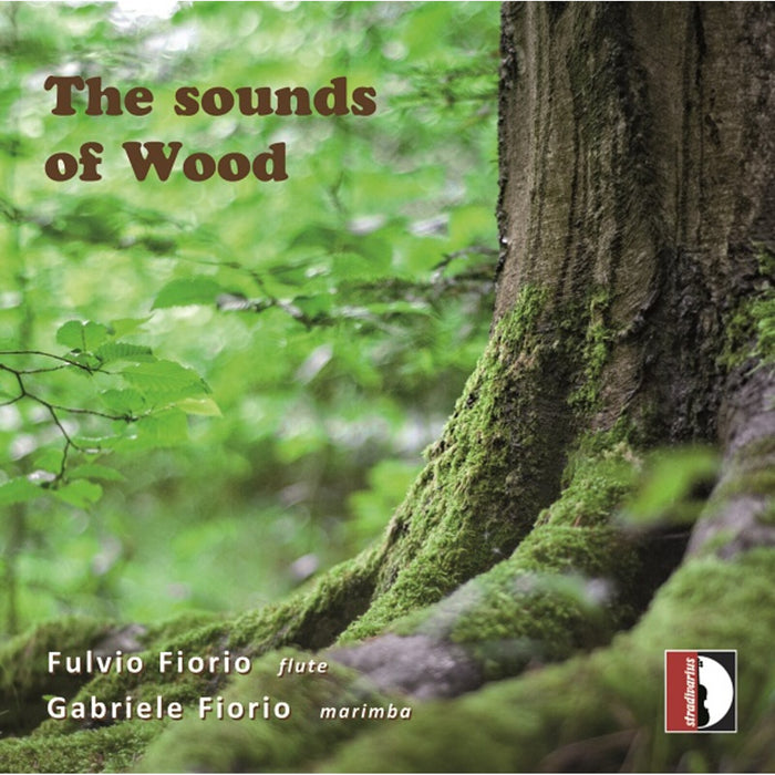 Ars Ludi; Alessio Cavaliere; Rosario Ceraudo; Zidan Cintoni; Giulio Jamil - The sounds of Wood - STR37269