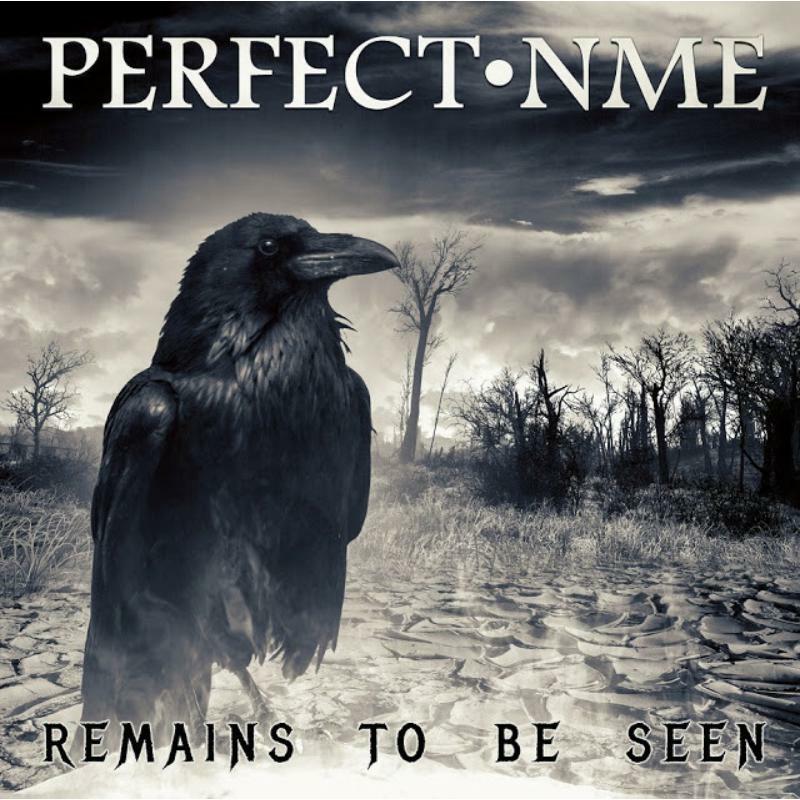 Perfect NME - Remains To Be Seen - WHD211