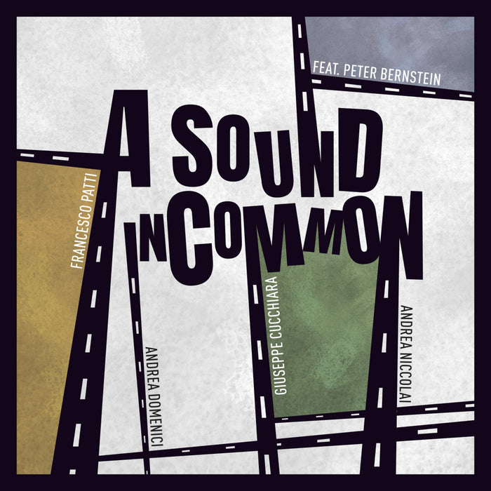 A Sound in Common feat. Peter Bernstein - A Sound in Common - AM7024