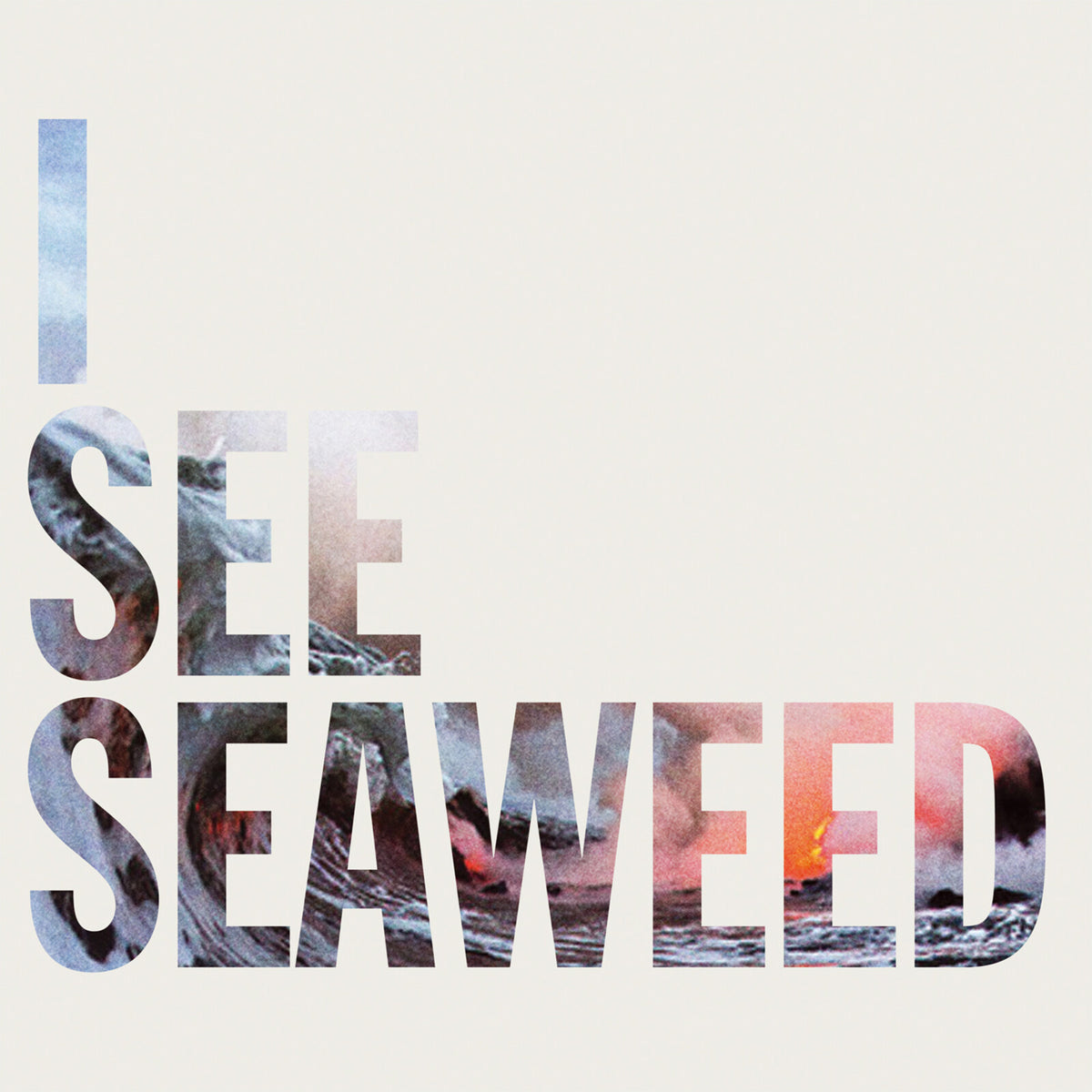 The Drones - I See Seaweed - BANGLP80