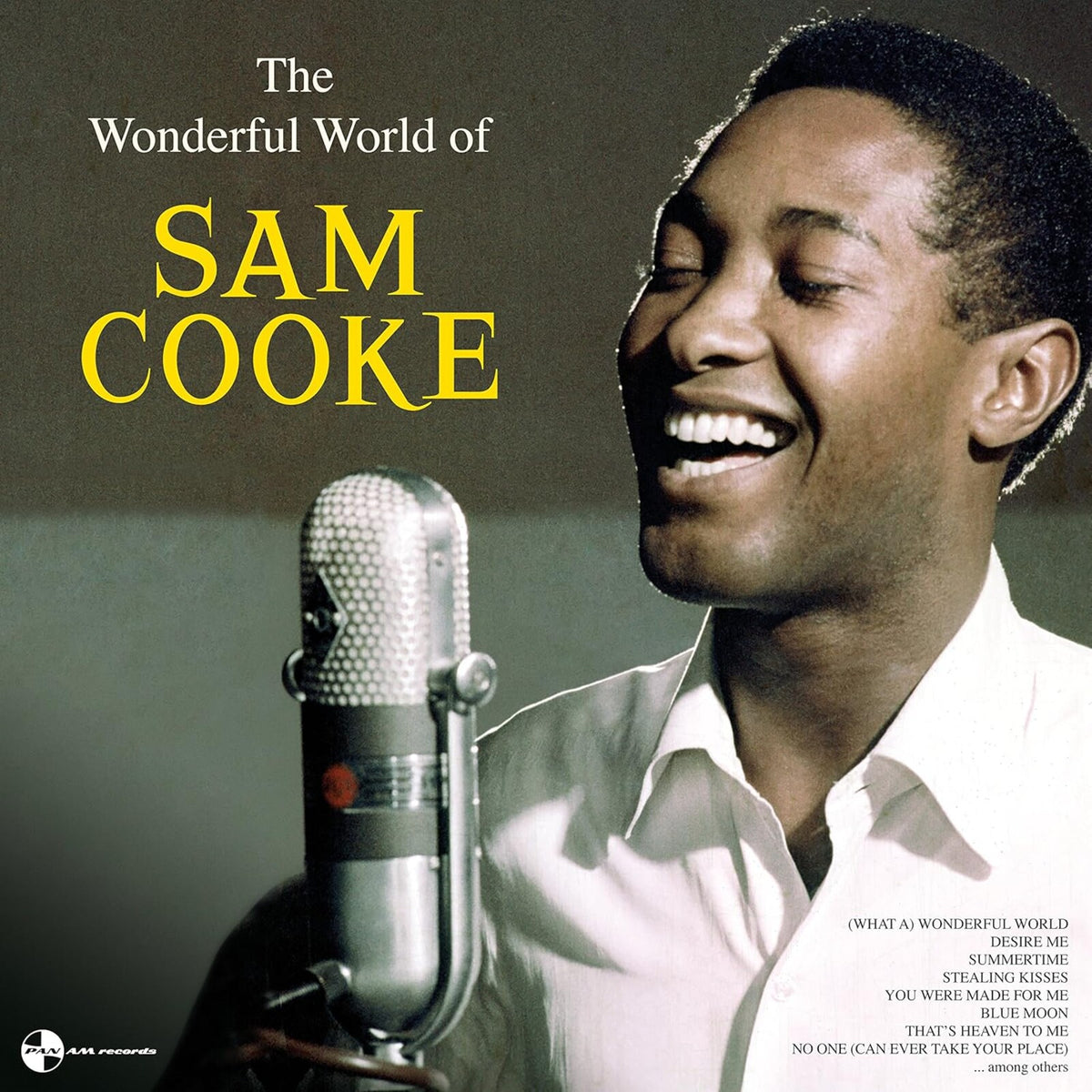 Sam Cooke - The Wonderful World Of Sam Cooke - 9152302