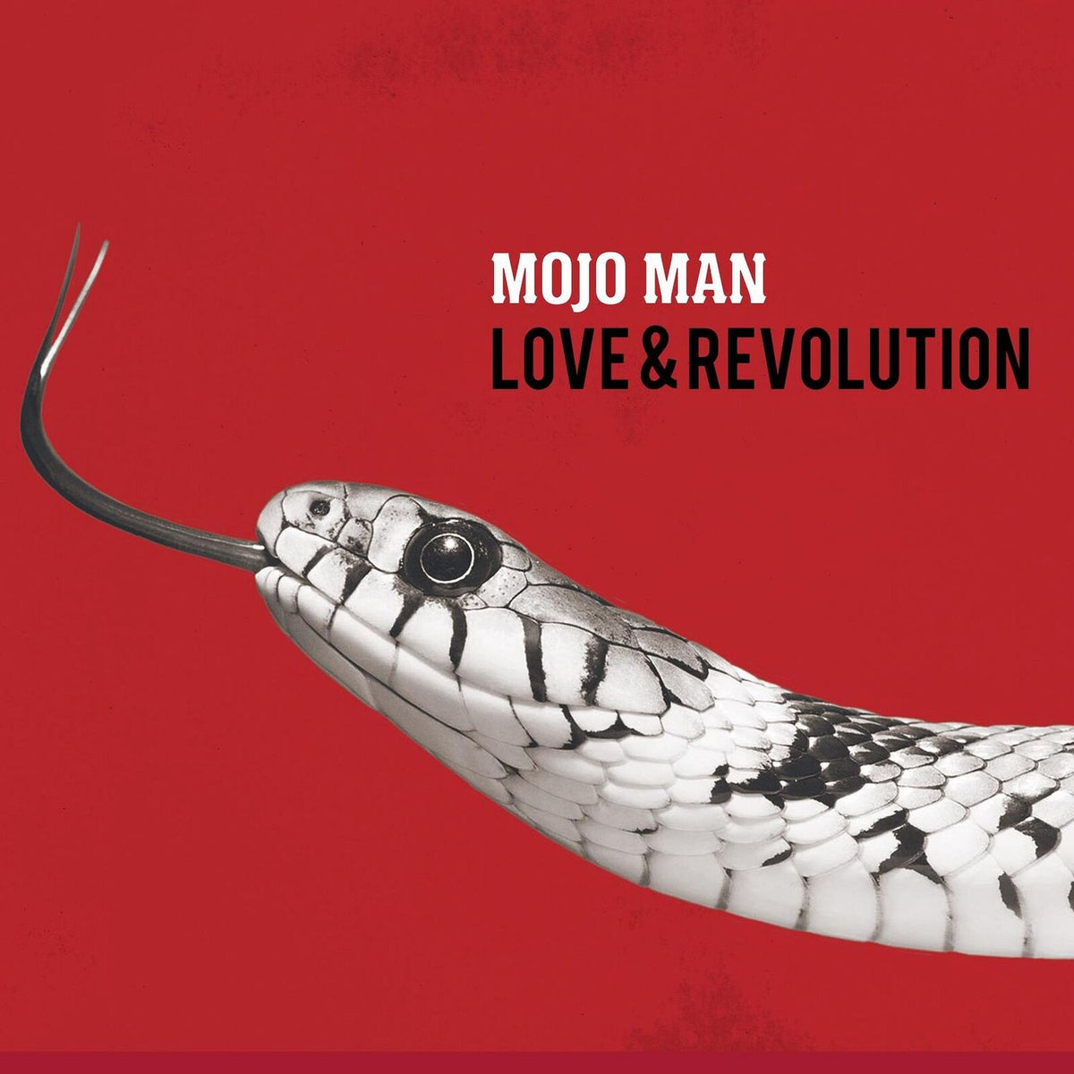 Mojo Man - Love & Revolution - CECD101