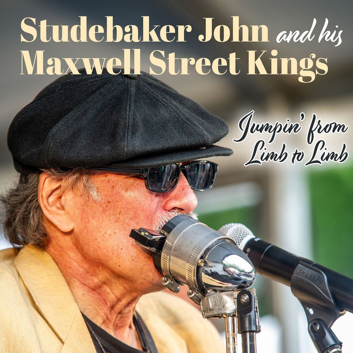 Studebaker John and the Maxwell Street Kings - Jumpin' From Limb To Limb - CBHCD2062