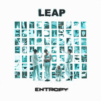 LEAP - Entropy - 281772