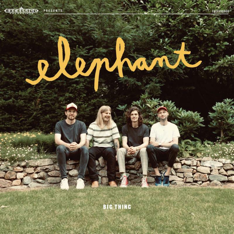 Elephant - Big Thing - EXCEL96668