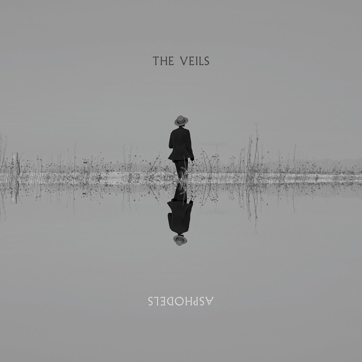 The Veils - Asphodels - VVNL5008LP