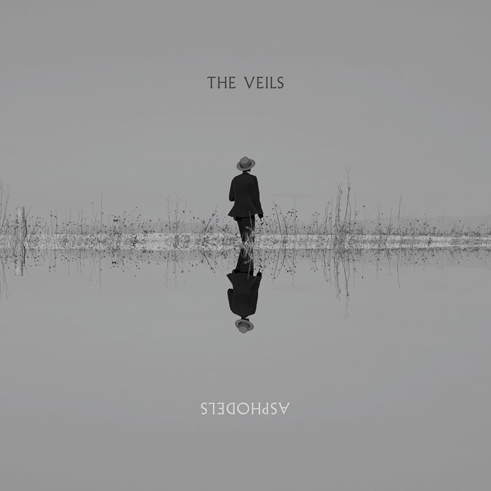 The Veils - Asphodels - VVNL5008LP