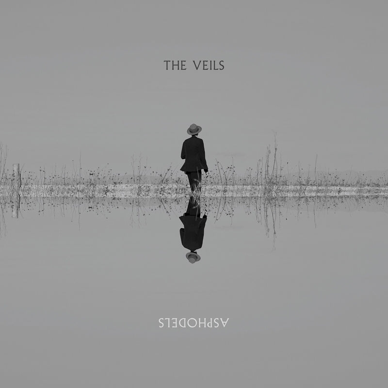 The Veils - Asphodels - VVNL5008LP