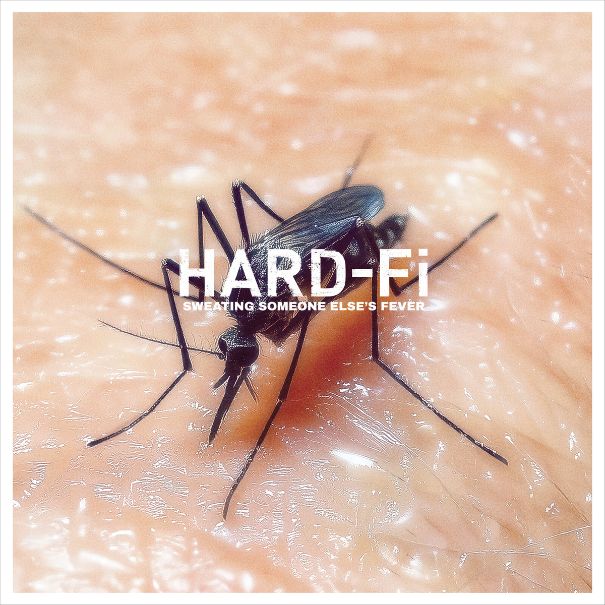 Hard-Fi - Sweating Someone Else's Fever - VVNL5118LP