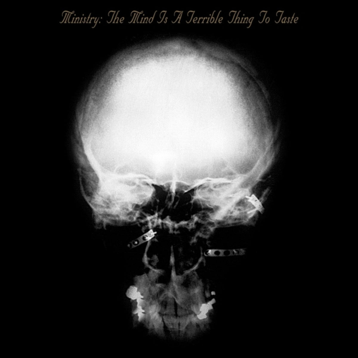 Ministry - Mind Is A Terrible Thing To Taste - MOCCD14086