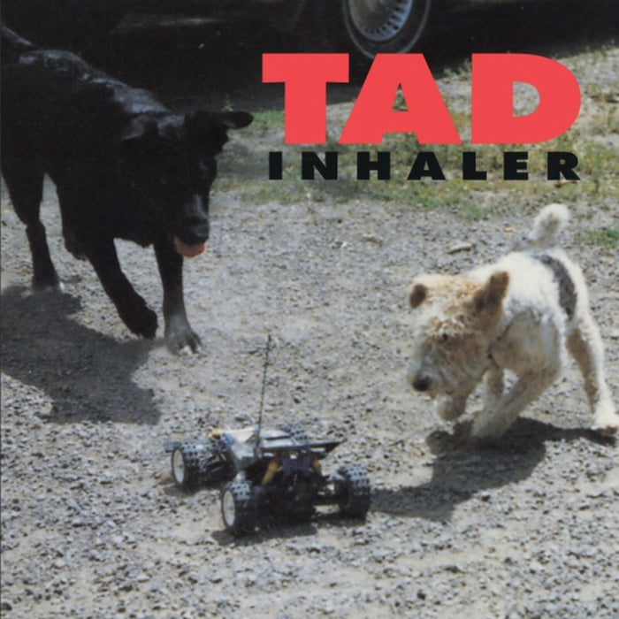 Tad - Inhaler - MOCCD14545