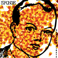 Sponge - Rotting Pinata - MOVLPB2322