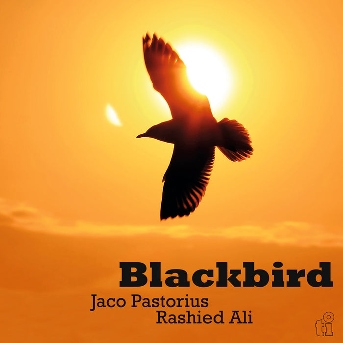 Jaco Pastorius & Rashied Ali - Blackbird - MOVLPG3271