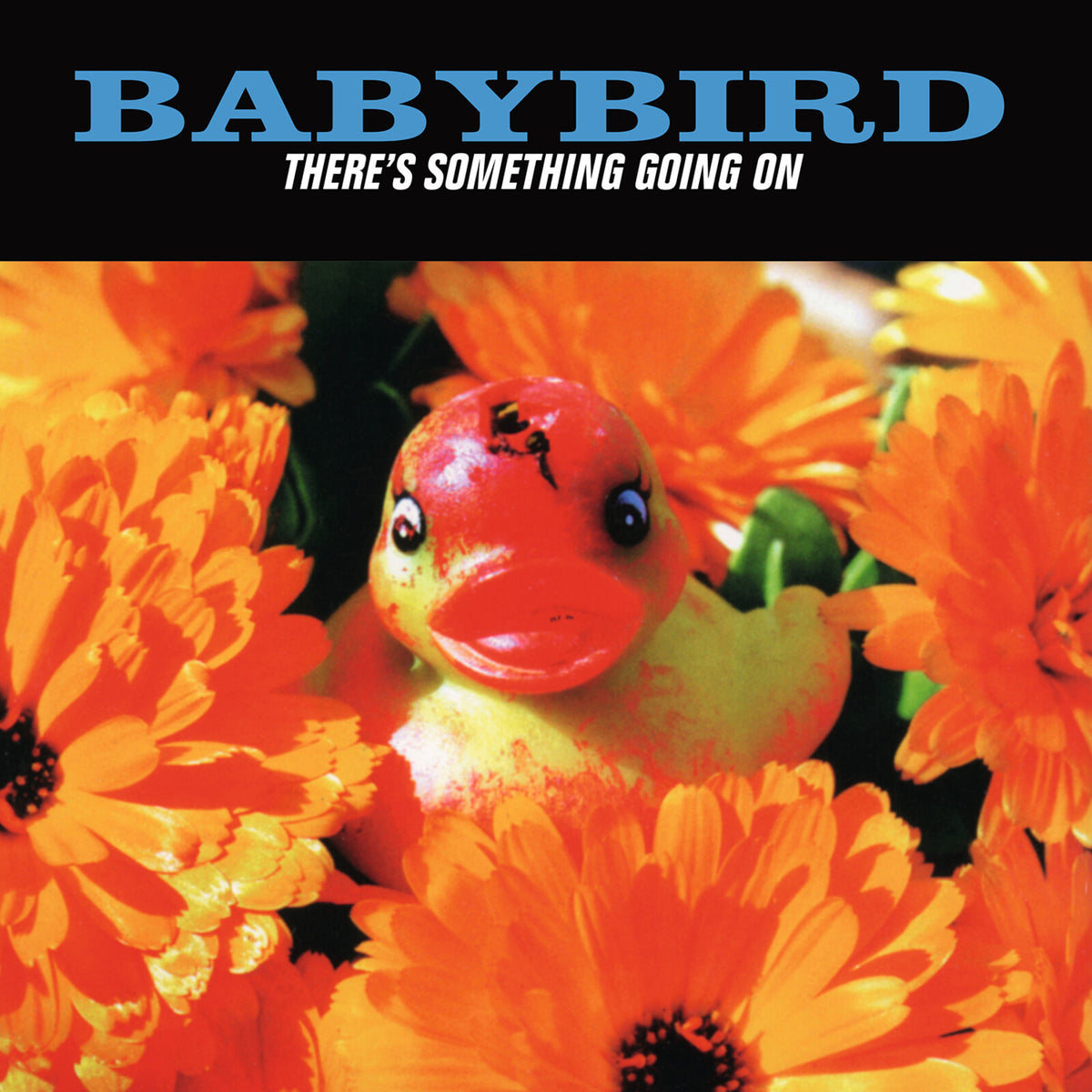 Babybird - There's Something Going on - MOVLP4133