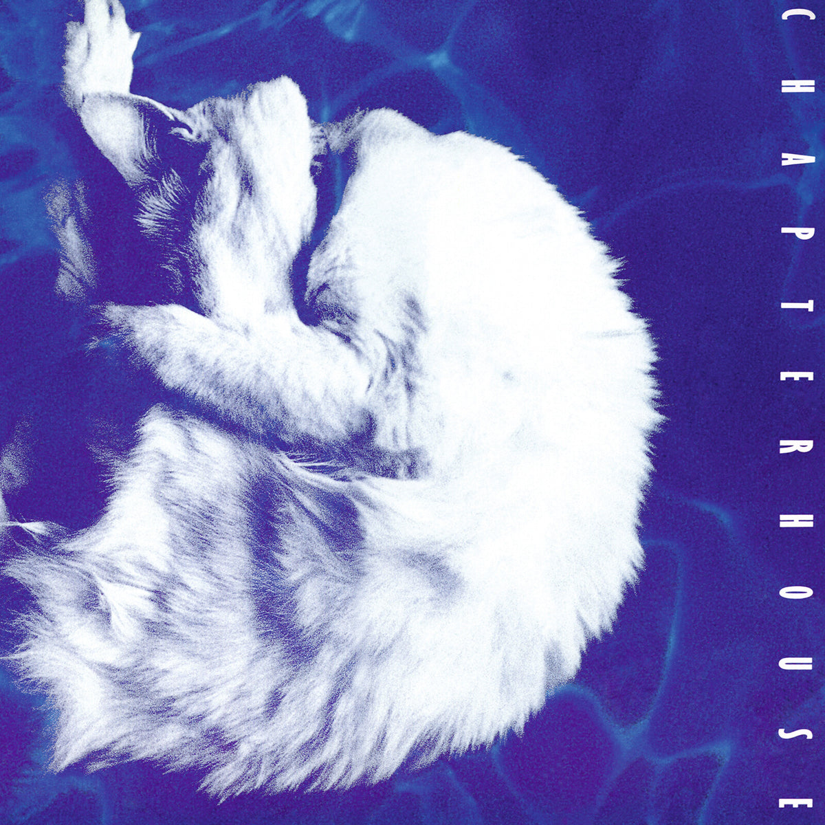 Chapterhouse - Whirlpool - MOVLPB2567