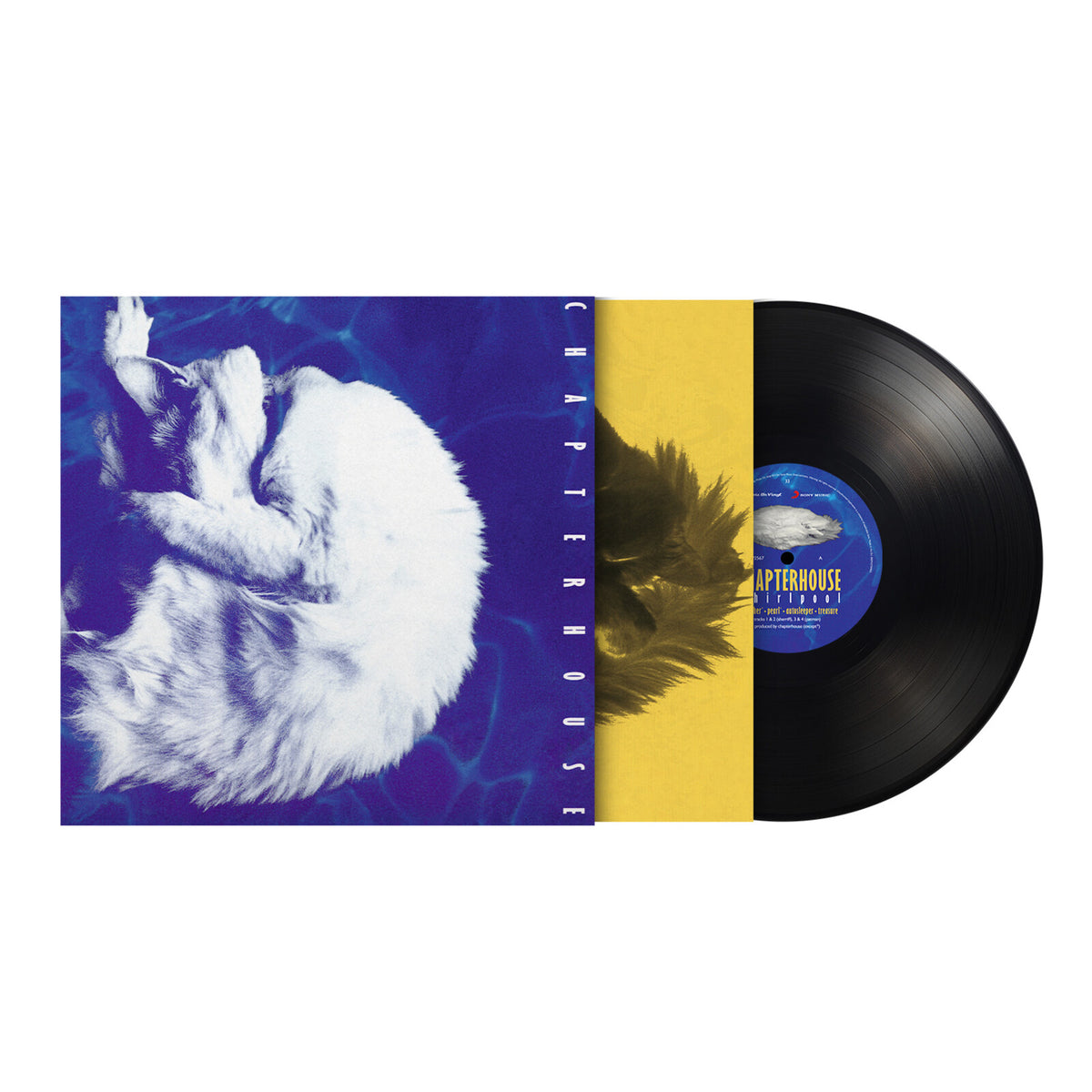 Chapterhouse - Whirlpool - MOVLPB2567