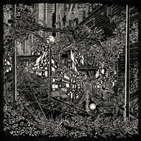 Jake long - City Swamp - NS0054LP