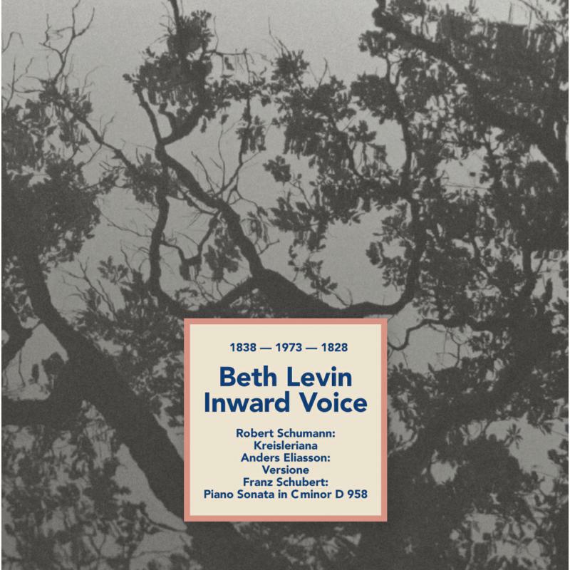 BETH LEVIN - Levin: Inward Voice - 98005