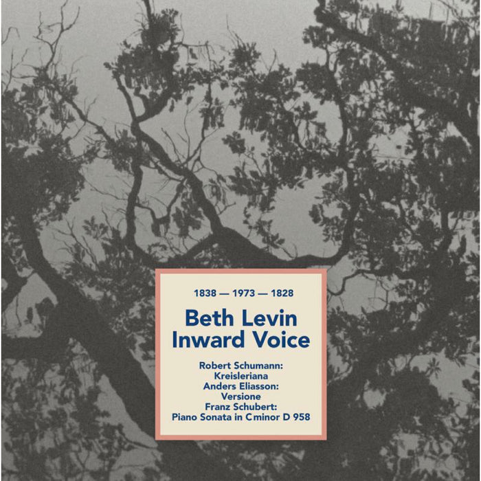 BETH LEVIN - Levin: Inward Voice - 98005