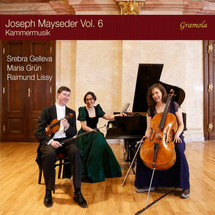 Gelleva/Grun/Lissy - Joseph Mayseder, Vol. 6 - Kammermusik - 99197
